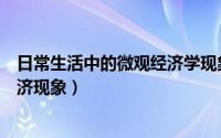 日常生活中的微观经济学现象（微观经济学解释生活中的经济现象）