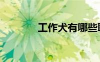 工作犬有哪些职业（工作犬）