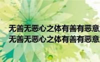 无善无恶心之体有善有恶意之动知善知恶是良知为善去恶（无善无恶心之体有善有恶意之动）