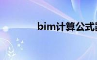 bim计算公式器（bim计算）