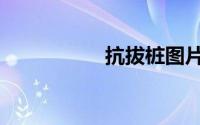 抗拔桩图片（抗拔桩）