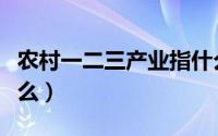 农村一二三产业指什么（农村一二三产业是什么）