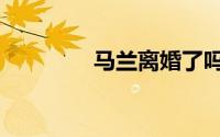 马兰离婚了吗（马兰前夫）