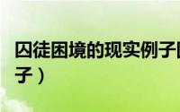 囚徒困境的现实例子图片（囚徒困境的现实例子）