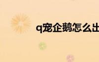 q宠企鹅怎么出现（q宠企鹅）