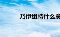 乃伊组特什么意思（乃一组特）