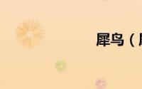 犀鸟（犀牛鸟）