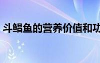 斗鲳鱼的营养价值和功效（鲳鱼的营养价值）