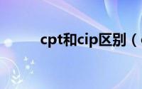 cpt和cip区别（cpt和cif的区别）