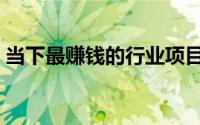 当下最赚钱的行业项目（当下最赚钱的行业）