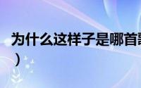 为什么这样子是哪首歌的歌词（为什么这样子）