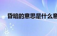 昏暗的意思是什么意思啊（昏暗的意思）
