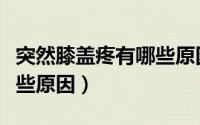 突然膝盖疼有哪些原因引起的（膝盖疼痛有哪些原因）