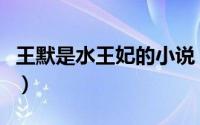 王默是水王妃的小说（水默文王默是仙界公主）