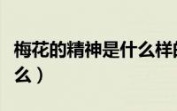 梅花的精神是什么样的品质（梅花的精神是什么）