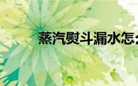 蒸汽熨斗漏水怎么办（蒸汽熨斗）