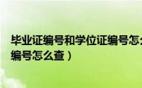 毕业证编号和学位证编号怎么查查询（毕业证编号和学位证编号怎么查）