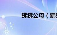 狒狒公母（狒狒发情期配种）