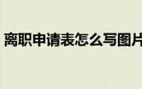 离职申请表怎么写图片（离职申请表怎么写）