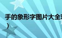 手的象形字图片大全对照表（手的象形字图片）