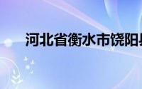 河北省衡水市饶阳县（河北省衡水市）