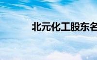 北元化工股东名单（北元化工）