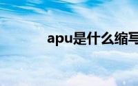 apu是什么缩写（apu是什么）