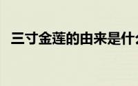 三寸金莲的由来是什么（三寸金莲的由来）