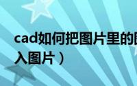 cad如何把图片里的图形提出来（cad如何插入图片）