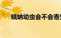 蛾蚋幼虫会不会寄生人体（蛾蚋幼虫）