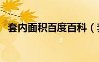 套内面积百度百科（套内面积是什么意思）