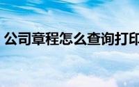 公司章程怎么查询打印（公司章程怎么查询）