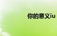 你的意义iu（你的意义）
