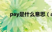 pay是什么意思（alipay是什么意思）