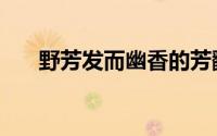 野芳发而幽香的芳翻译（野芳发而幽）
