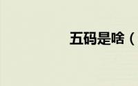 五码是啥（ed2k五码）