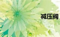 减压阀（减压）