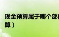 现金预算属于哪个部门（现金预算属于什么预算）