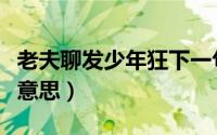 老夫聊发少年狂下一句（老夫聊发少年狂什么意思）