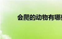 会爬的动物有哪些（会爬的动物）