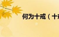 何为十戒（十戒十做的内容）