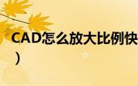 CAD怎么放大比例快捷键（cad怎么放大比例）