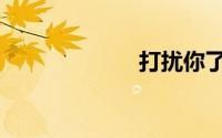 打扰你了（打扰）