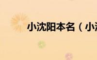 小沈阳本名（小沈阳真名叫什么）
