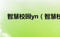 智慧校园yn（智慧校园管理平台是什么）
