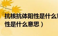 抗核抗体阳性是什么意思11000（抗核抗体阳性是什么意思）
