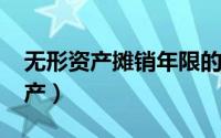 无形资产摊销年限的最新规定2023（无形资产）