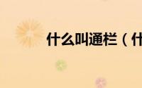 什么叫通栏（什么是通栏广告）