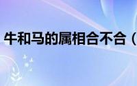 牛和马的属相合不合（牛和马属相是否相配）
