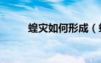 蝗灾如何形成（蝗灾怎么形成的）